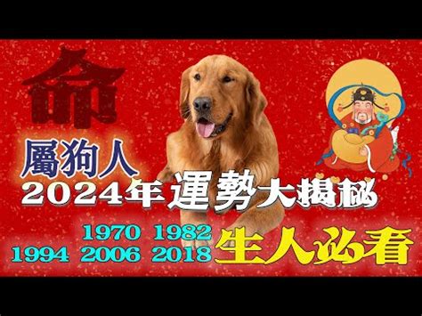 1982年屬狗 運勢|【1982年生肖】1982年生肖狗完整解析！2023年運勢、桃花、工。